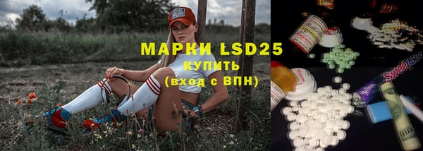 хмурый Елабуга