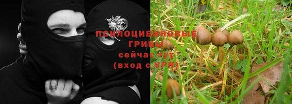хмурый Елабуга