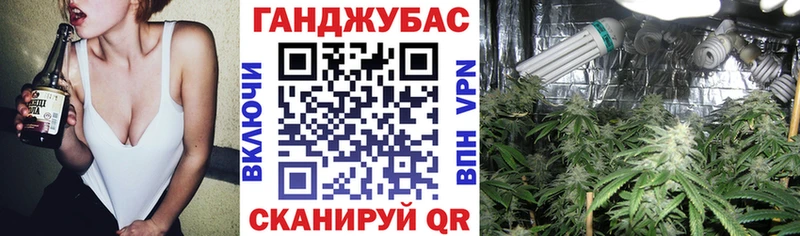 Каннабис индика  Купить  Шебекино 